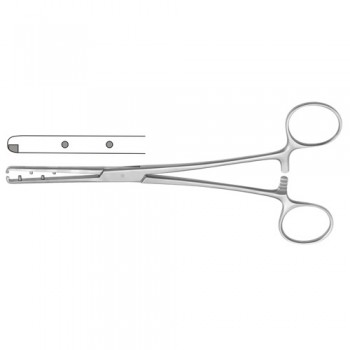 Emmet Dressing Forcep Straight Stainless Steel, 21 cm - 8 1/4"